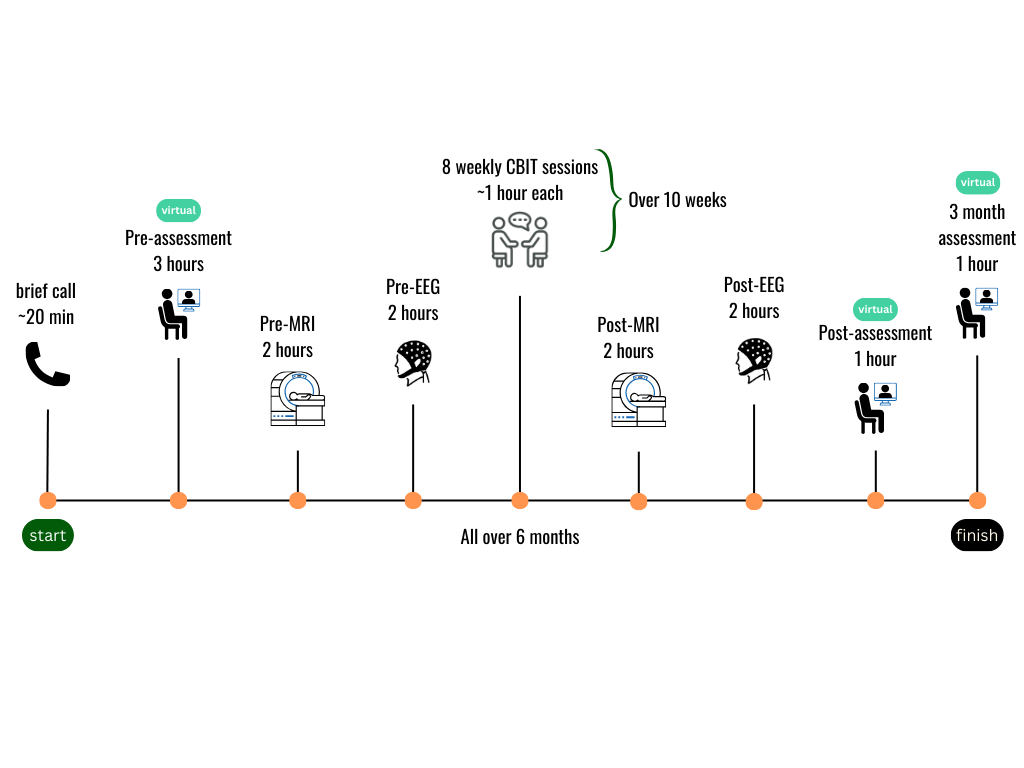 timeline of the study components with icons and time estimates